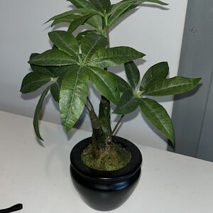 12” tall Olive green mini fake tree w/ brown Designer Vase pot
